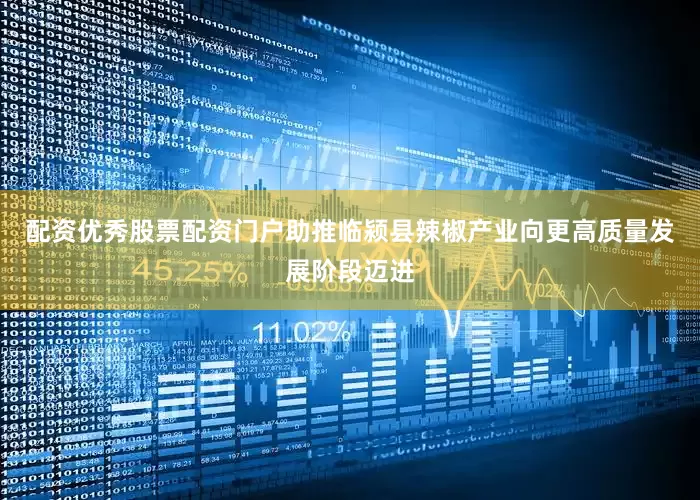 配资优秀股票配资门户助推临颍县辣椒产业向更高质量发展阶段迈进